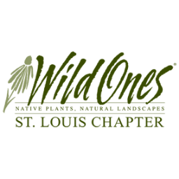 A non-profit organization promoting landscaping with native plants and wildflowers - St. Louis Chapter