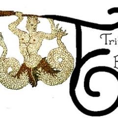 TritonVideo's profile picture. New Media streaming, videography, Internet TV, specializing in personal, professional, entertainment and business productions.