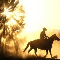 TheCountryMile (@thccountry_mile) 's Twitter Profile