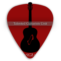 Talented Guitarists(@TalentandGuitar) 's Twitter Profile Photo