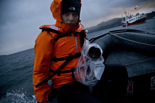 nicolacarignani's profile picture. 