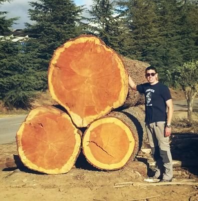 eduardbusol's profile picture. I am a Forestry Engineer interested in wildfires and the prevention of them.