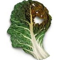 Agrotivity's profile picture. Creativity in urban & organic farming #urbanfarming #verticalfarming #aquaponic #indoorfarming #permaculture