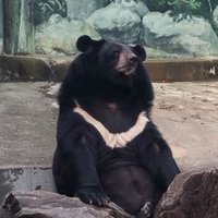 달뿌리풀 (@moonroot) 's Twitter Profile