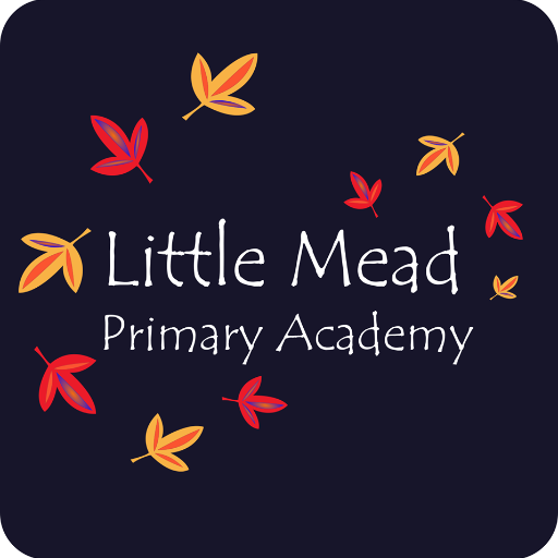Little Mead Primary