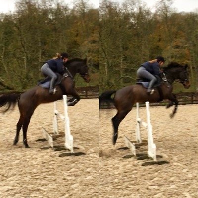 ------------ 17yo aspiring event rider ------------ 2 horses - Jacob & Java