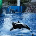 David McInally - @Dm301292 - Twitter