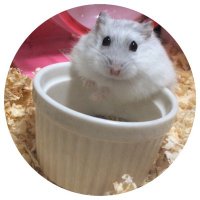 MNM (@mnmnmnmnii) 's Twitter Profile