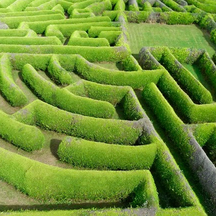 Leinster's Largest Hedge Maze. Family Fun. Fantastic New Attractions. Challenging and Exciting Day Out in Kildare. http://t.co/0CEh6ida04 Tweets by Orla!