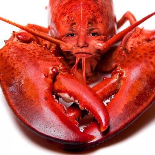 kluk11's profile picture. 