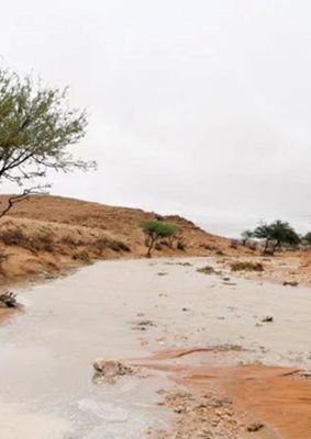 salissoualassa3's profile picture. 