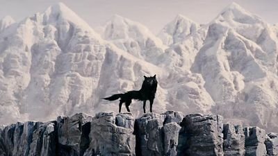 jibrille_z's profile picture. I'll get to this..(tumble weed rolls by)