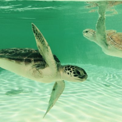 mafer_estrada's profile picture. 