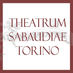Theatrum Sabaudiae (@theatrumtorino) Twitter profile photo Theatrum Sabaudiae (@theatrumtorino) Twitter profile photo