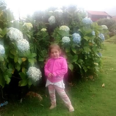 jprg1612's profile picture. 