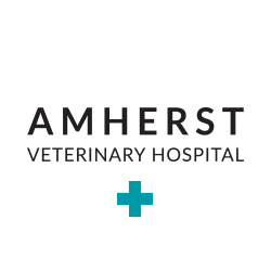 Amherst welcomes pet patients of many shapes and sizes, ages and attention spans, colors and creeds. (RT does not necessarily endorse)