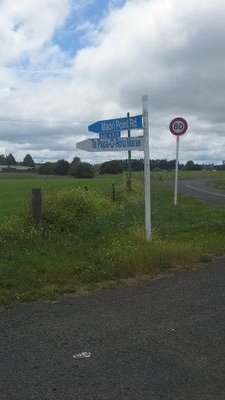 marygra95599474's profile picture. 