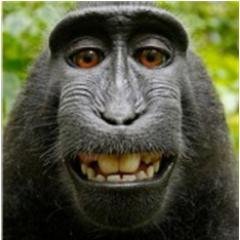 _curtisbradley's profile picture.