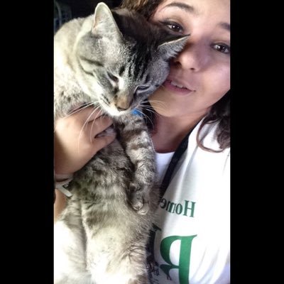 made a new Twitter still lost af