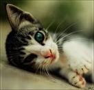 mack772's profile picture. I like watching films and reading about technology