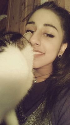 accendos's profile picture. nostrum brainchild