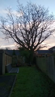 wvhtOpenSpace's profile picture. 