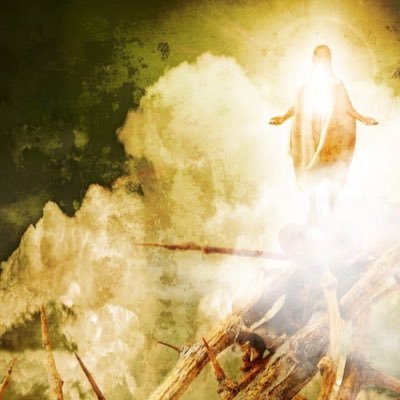 Through Him, all things are possible | My other account is @MatthewBeets |