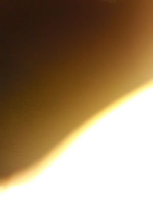 killa_the_boss0's profile picture. 