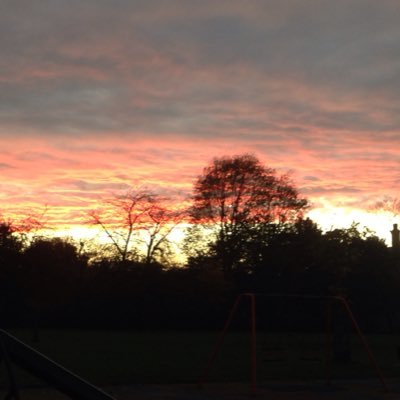 AstearahSky's profile picture. democracy? Isn't that a nicer way of saying oligarchy.....