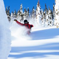 Baldface Lodge (@baldfacelodge) 's Twitter Profile