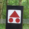 bikespot's profile picture. Mountainbiking marketing freak