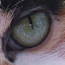 Jess Hoffman - @jrhoffman34 - Twitter