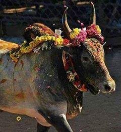 prawinwin's profile picture. அப்டியே இந்த ட்விட்டரையும் தடைபன்னிட்டா அவனவன் வேலய போய் பார்க்கலாம்