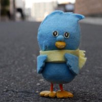 小鳥のヤパチェク (@yapachek) 's Twitter Profile