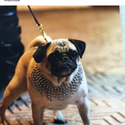 cristian8475's profile picture. 