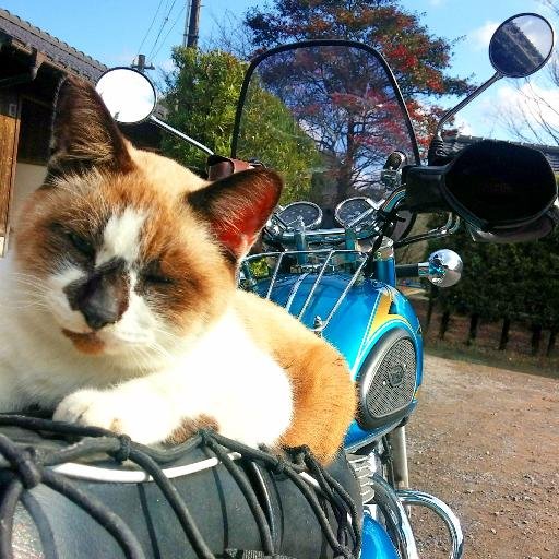 wataken999's profile picture. カメラ、写真、オールドレンズ、バイク、SONY。熊本