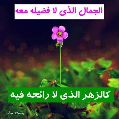 4QBf0dcotziXcCl's profile picture. 