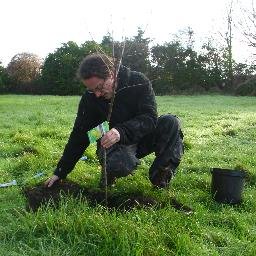 Lecturer in Woodland Management at Bangor University, Woodland Environment Officer at Llyn Parc Mawr and forest plant: microbe interactions researcher