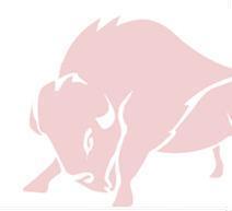 bisonsolutions's profile picture. 