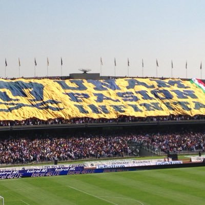 jpablobarrigas's profile picture. 