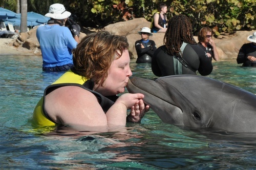 guidedogs1's profile picture. 