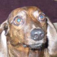 Deb2 (@deb2_debra) 's Twitter Profile