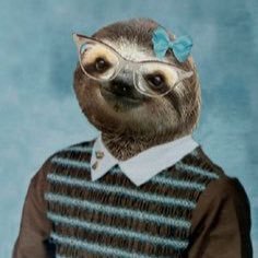 thecurioussloth's profile picture. Mind. Body. Sloth.