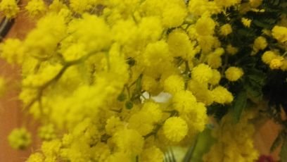 MlleHS's profile picture. Where do I start?