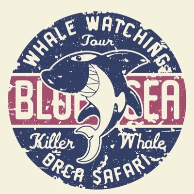 felicityankang's profile picture. 