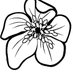 HPS Clwyd Group (@hpsclwyd) Twitter profile photo HPS Clwyd Group (@hpsclwyd) Twitter profile photo