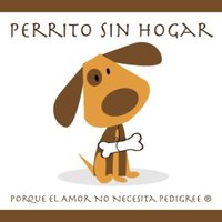 Perrito Sin Hogar(@perritosinhogar) 's Twitter Profile Photo