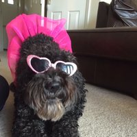 Jason Smalley (@jason_smalley1) 's Twitter Profile Photo Jason Smalley (@jason_smalley1) 's Twitter Profile Photo