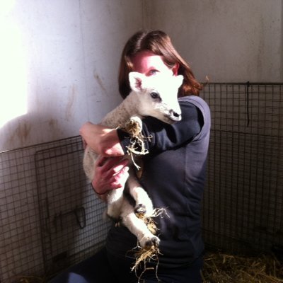 Leylacat1's profile picture. LOVE ALL CREATURES GREAT an small, an anything @ByCaprice. 💕 Truly Believe #MaxClifford Is Innocent. It's All An Adventure 😜 #FinnsLaw 💙🐾🐾