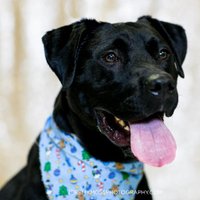 QCAWC (@qcawc) 's Twitter Profile